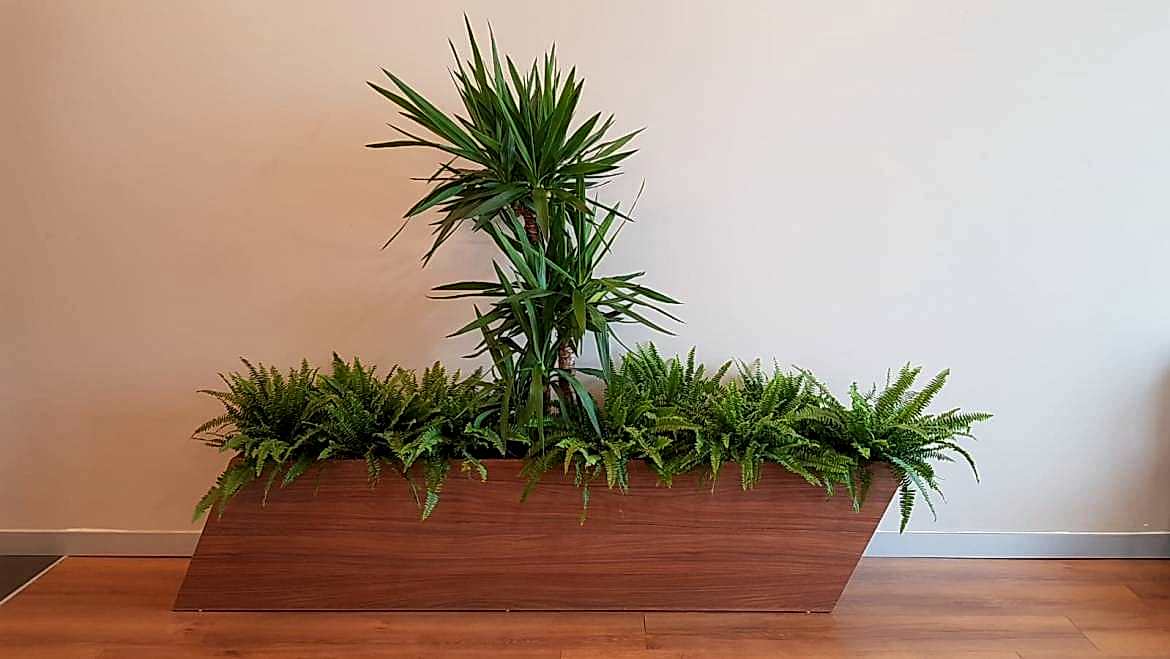 İç Mekan Bakımları